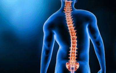 Understanding scoliosis symptoms in both children and adults.