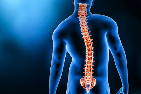 Understanding scoliosis symptoms in both children and adults.